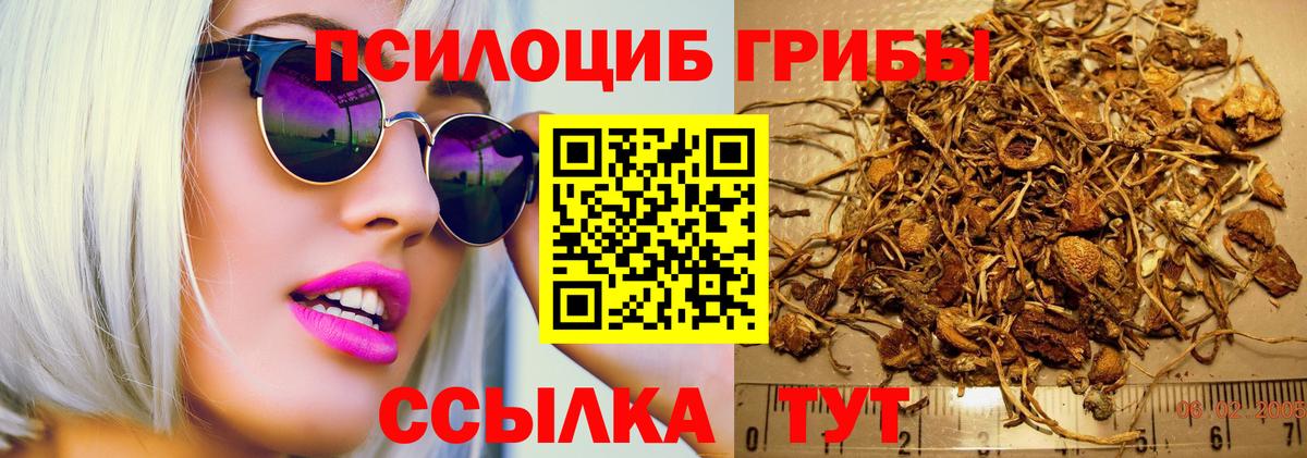 Галлюциногенные грибы Psilocybine cubensis Фрязино