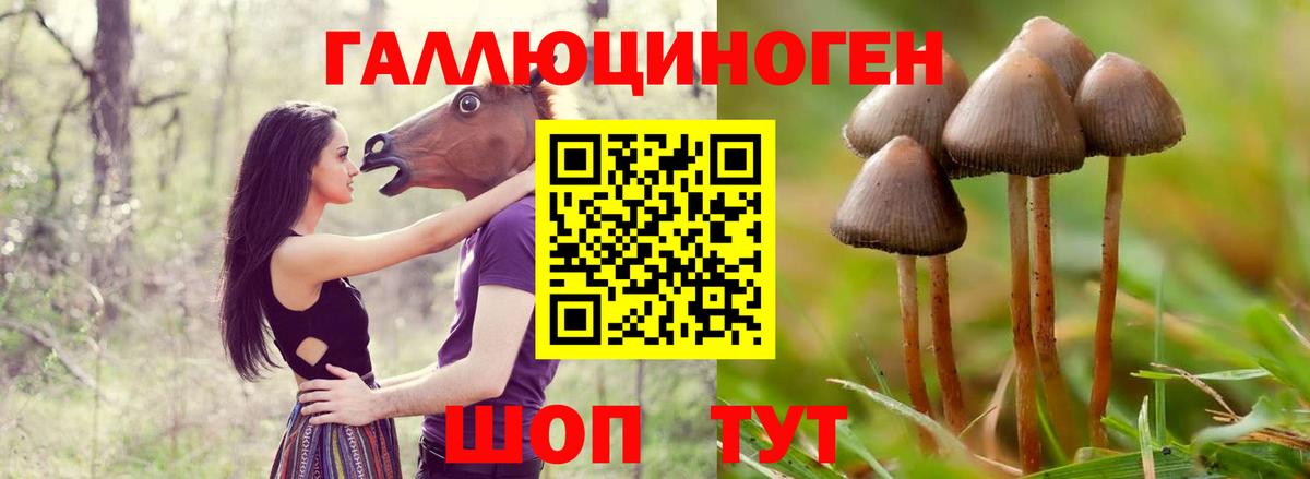 Псилоцибиновые грибы мицелий  Псилоцибиновые грибы Cubensis  Фрязино  Вход с VPN 